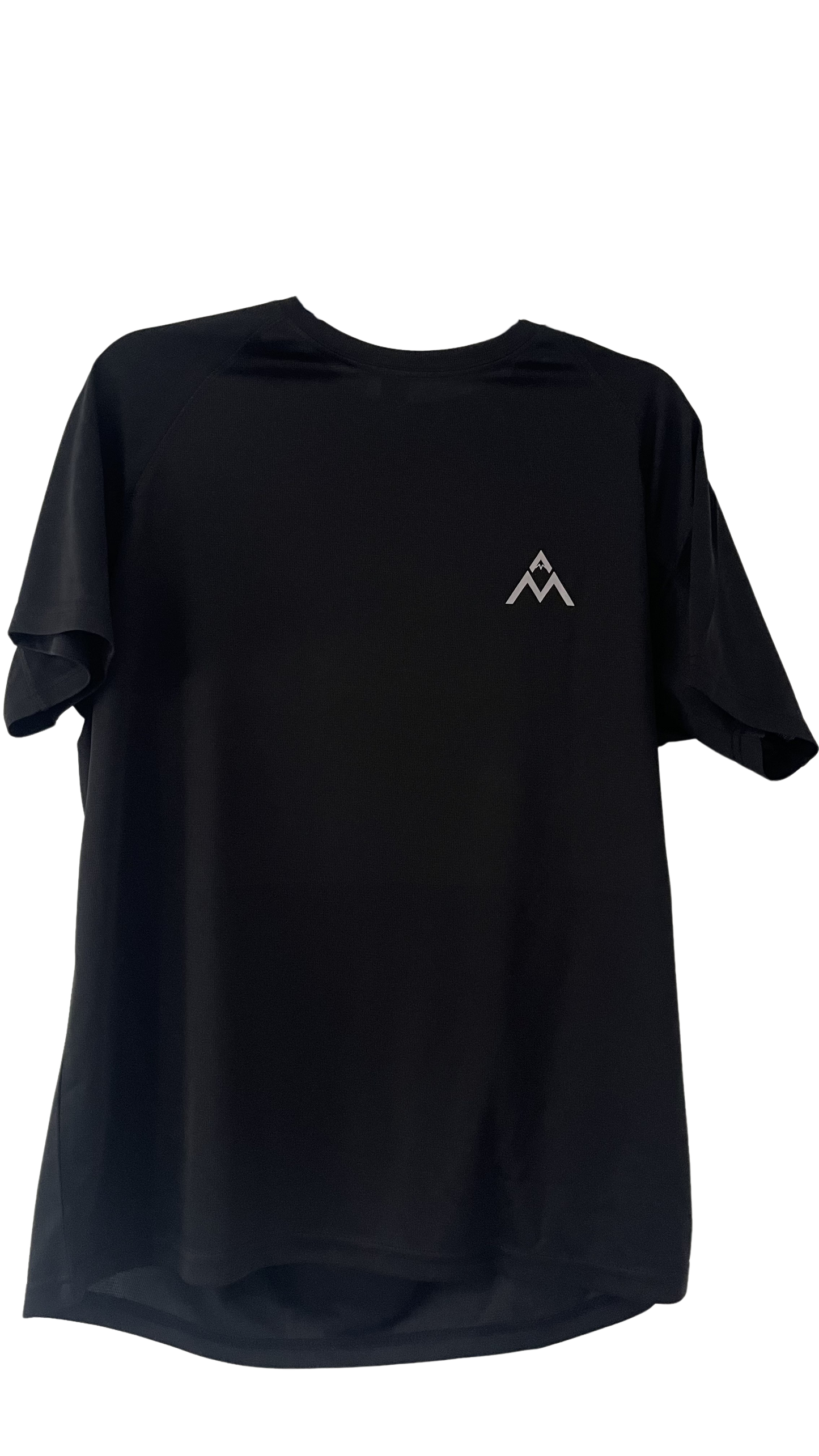 AM Active Tee Fitted (Grey Logo)