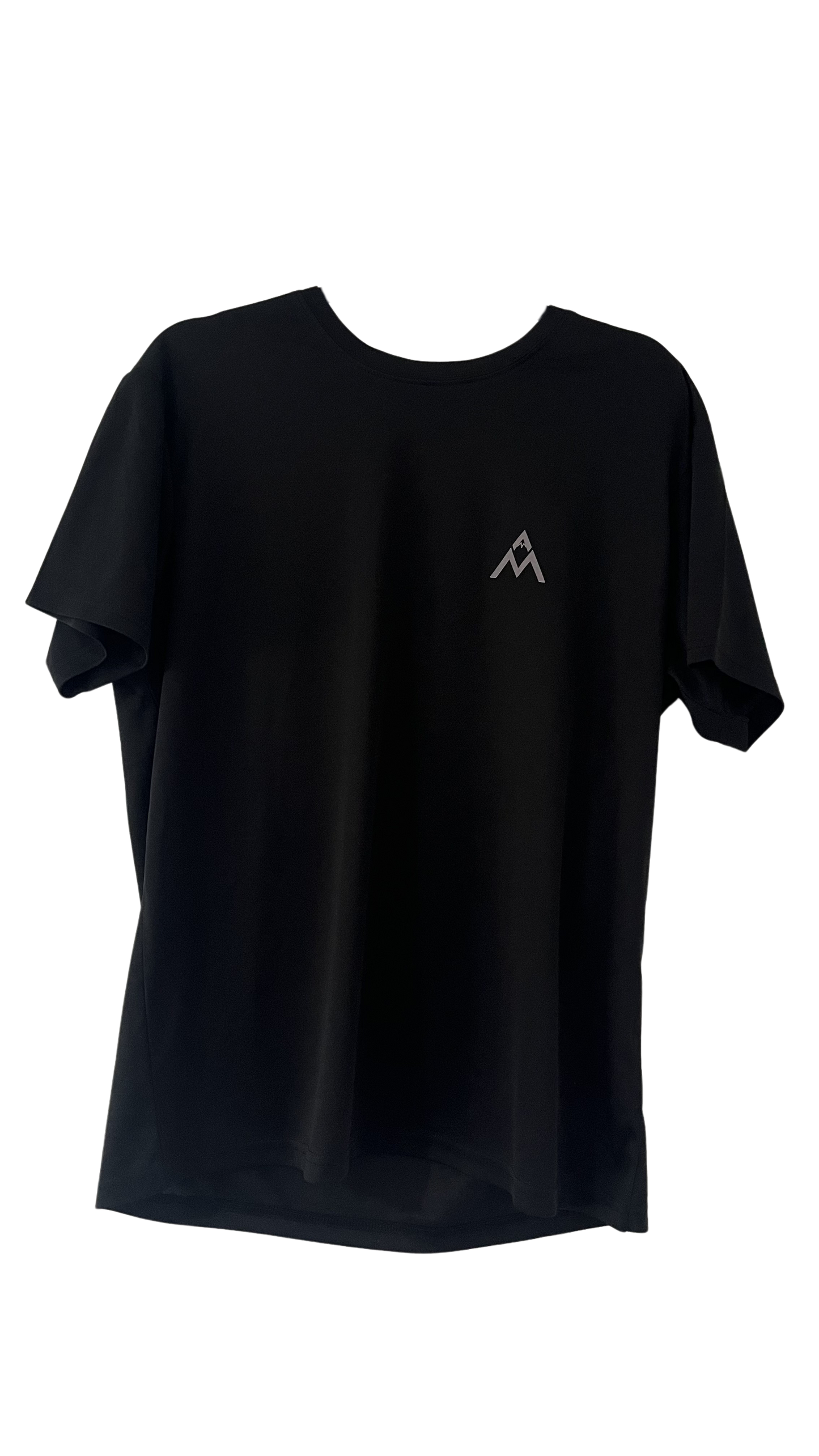 AM Active T Grey Logo (2025)